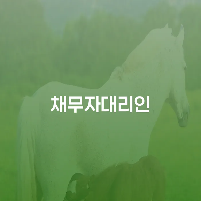 개인회생및파산 빚독촉 확실한 진행