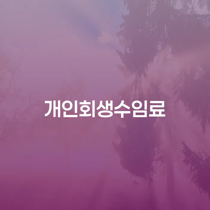 연체중대출 대출 연체 개인회생 어떻게