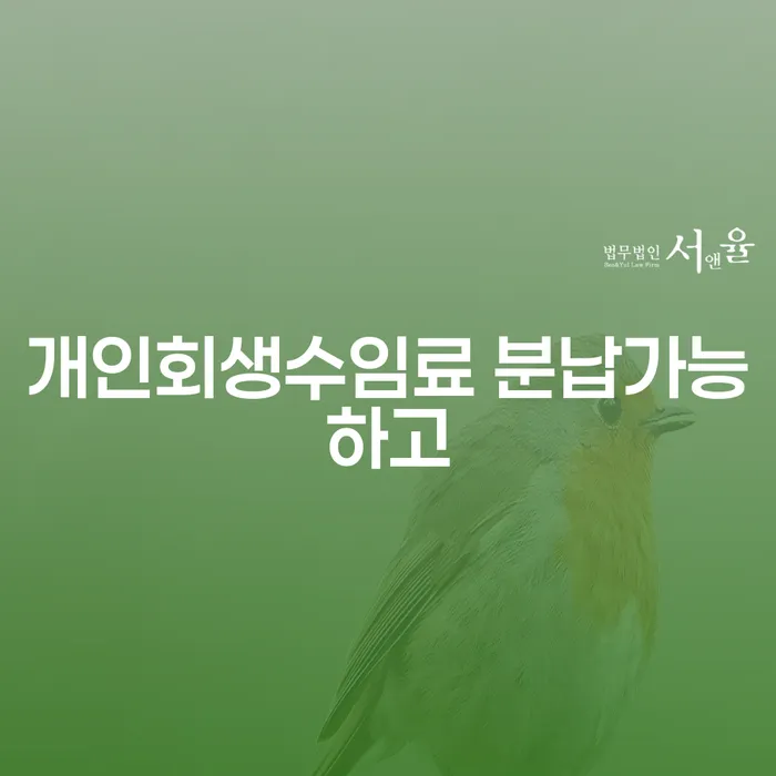 개인회생사무실 카드빚 연체 신청절차에