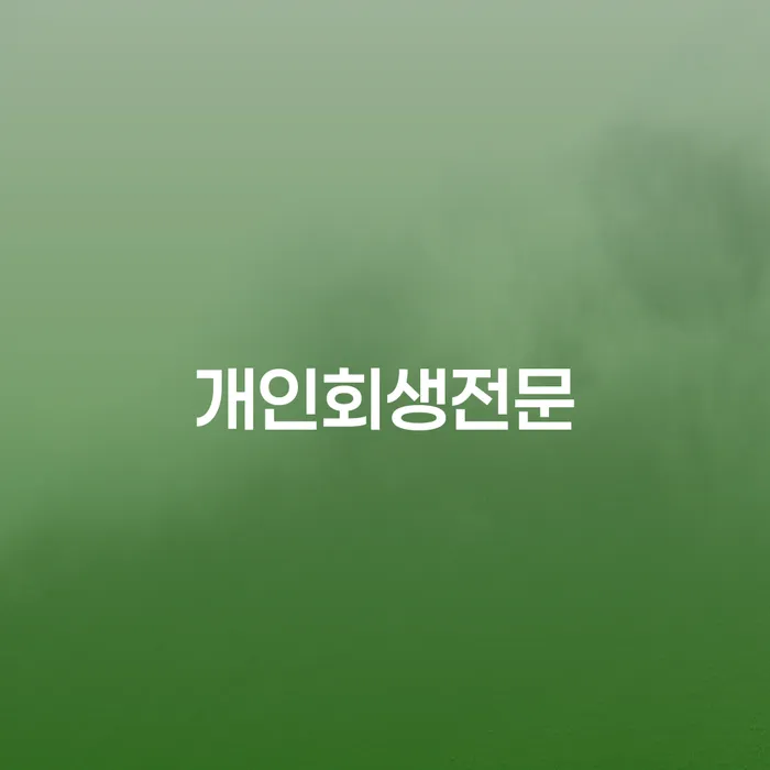 광주 지급명령개인회생 개인회생으로 현명하게 법률사무소추천