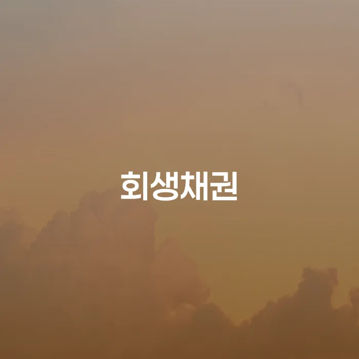 광주시 개인회생문의 대출 연체 개인회생 잘신청하기