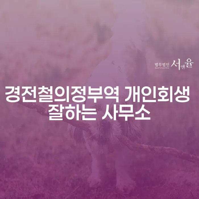 경전철의정부역 개인회생 잘하는 사무소