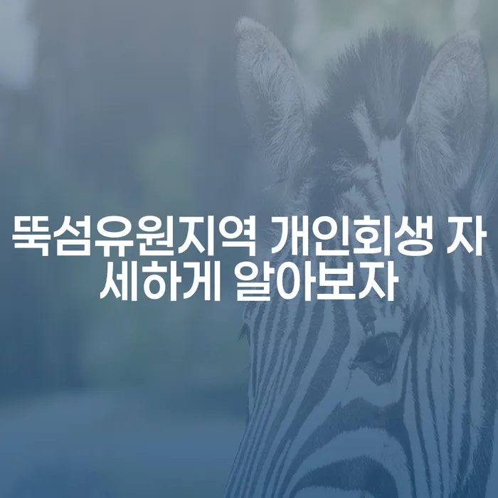 뚝섬유원지역 개인회생 자세하게 알아보자