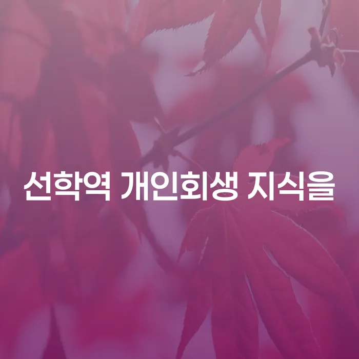 선학역 개인회생 지식을