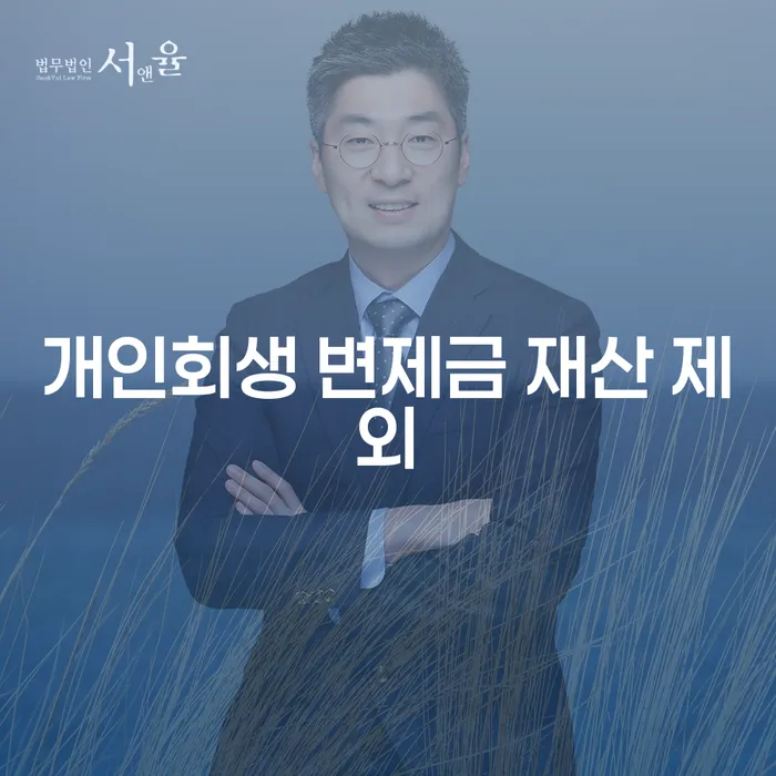 개인회생 변제금, 재산 제외 가능한가요?