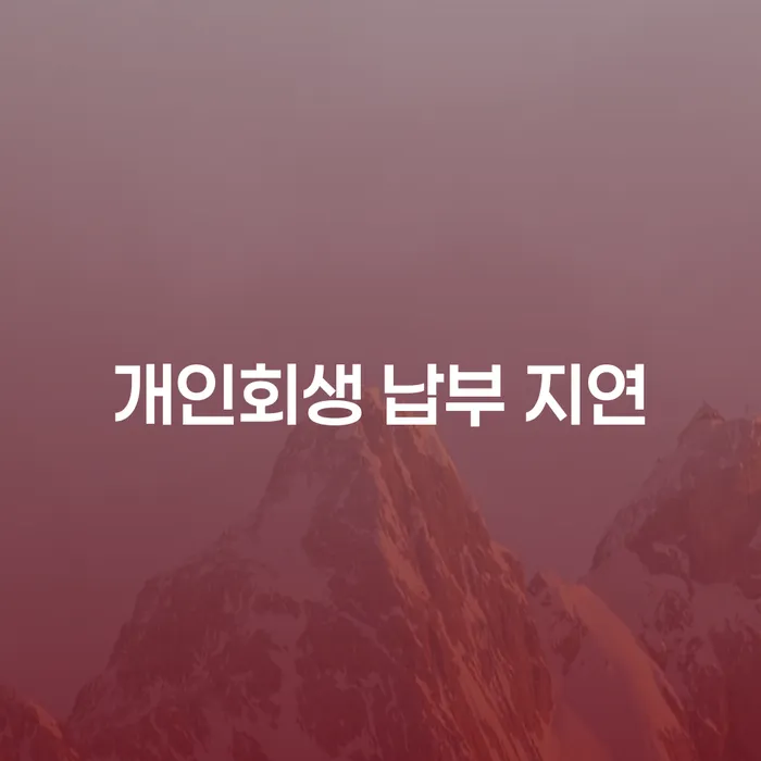 개인회생 납부 지연, 어떻게 해결할 수 있을까요?