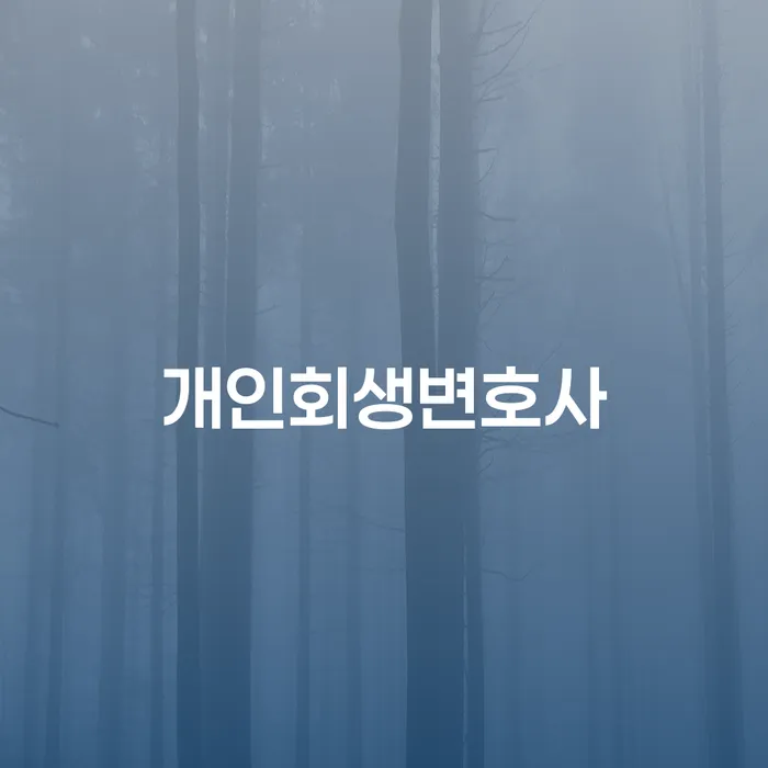 원효로동 개인회생변호사와 함께하는 채무 해결 과정은?