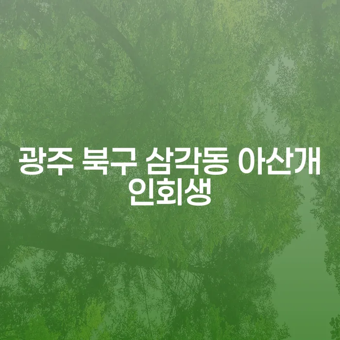 광주 북구 삼각동 아산개인회생, 어떻게 준비해야 할까요?