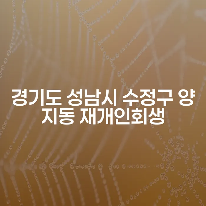 경기도 성남시 수정구 양지동 재개인회생, 어떻게 시작해야 할까요?