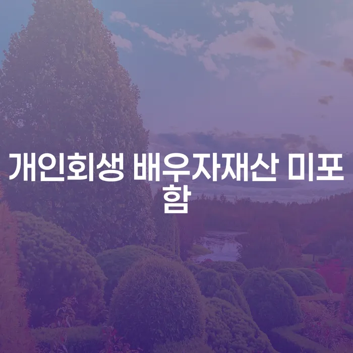 개인회생 신청 시 배우자 재산을 포함시키지 않는 방법은 무엇인가요?